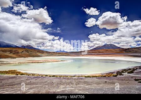 Altiplano Lagoon in Bolivia, Southamerica Stock Photo