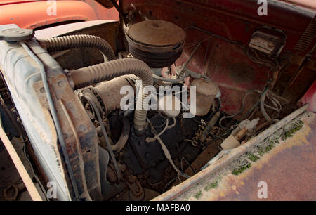A 239 CID Ford Flathead V8 engine in an old 1948 Ford F-5 truck, in a stone quarry, east of Clark Fork Idaho. Stock Photo