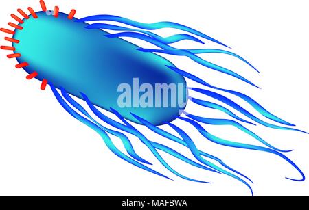 The structure of the bacteria Salmonella. Infographics. Vector ...