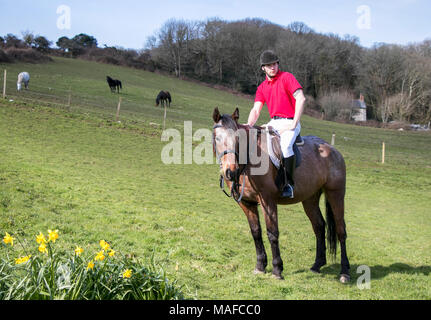 Handsome Male Horse Rider on horseback with white breeches, black boots and red polo shirt in green field with horses in background and daffodils Stock Photo