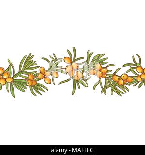 sea buckthorn vector pattern on white background Stock Vector