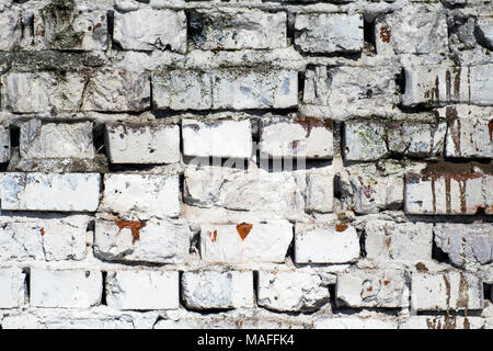 Old brick wall whitewashed with lime Stock Photo
