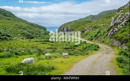 Scenic landscape in Point of Sleat, the southernmost point of Skye. Scotland. Stock Photo