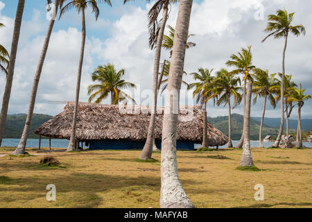 hut, bungalow under palm trees on island near beach