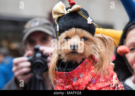 New York, NY, USA - 2018/04/01: New York City Easter Bonnet Parade on 5th Avenue in Midtown Manhattan Stock Photo