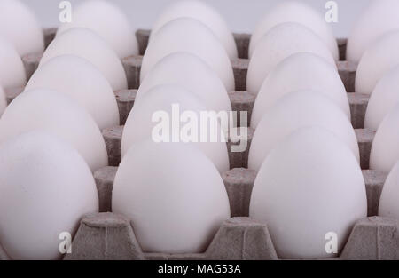 Rows of eggs in a cardboard box Stock Photo