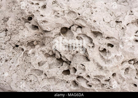 Porous rock with holes and prints of sea shells. Stock Photo