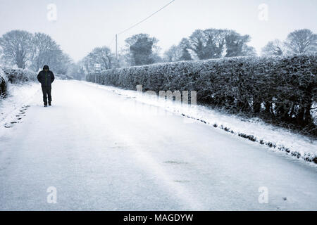 Flintshire, Wales, UK 2nd April 2018, UK Weather: A washout Easter Bank Holiday ends with a Met Officer weather warning for rain and snow for Bank Holiday Monday. A person walking along a snow covered lane in the rural village of Lixwm, Flintshire on a snowy Easter Bank Holiday Monday © DGDImages/Alamy Live News Stock Photo