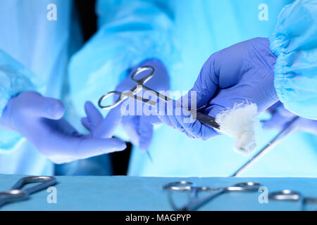 Surgeons hands holding surgical scissors and passing surgical equipment, close-up. Health care and veterinary concept Stock Photo