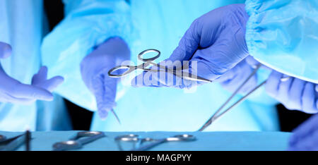 Surgeons hands holding surgical scissors and passing surgical equipment, close-up. Health care and veterinary concept Stock Photo