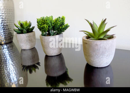 Three potted plants reflecting on a glass tabletop Stock Photo