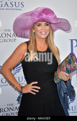 HALLANDALE, FL - JANUARY 28:  Guest attends The Inaugural $12 Million Pegasus World Cup Invitational, The World's Richest Thoroughbred Horse Race At Gulfstream Park at Gulfstream Park on January 28, 2017 in Hallandale, Florida   People:  Guest Stock Photo