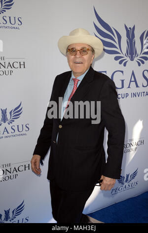 HALLANDALE, FL - JANUARY 28:  Guest attends The Inaugural $12 Million Pegasus World Cup Invitational, The World's Richest Thoroughbred Horse Race At Gulfstream Park at Gulfstream Park on January 28, 2017 in Hallandale, Florida   People:  Guest Stock Photo