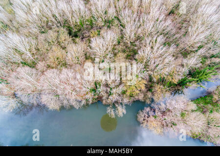 aerial view of Fluvià river and Riparian forest, hot air balloon shadow on the water, Garrotxa, Catalonia, Spain Stock Photo