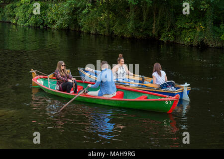 4 people boating in pairs, relaxing & having fun in 2 rowing boats side by side & about to collide - River Nidd in summer, Knaresborough, England, UK. Stock Photo