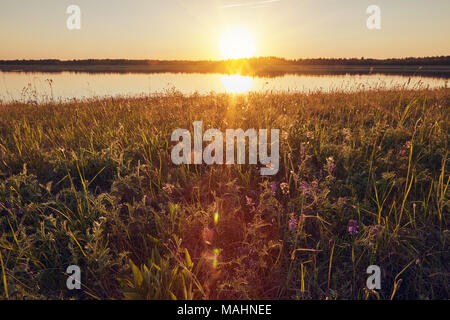 Beautiful sunset over the lake on a summer evening. The sun is reflected in the water surface of the lake and almost hid behind the horizon Stock Photo
