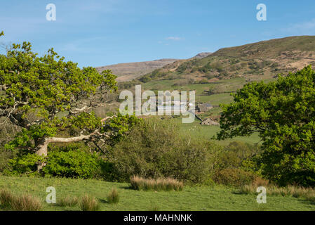 Beautiful early summer day in the hills near Harlech in Snowdonia, North Wales. Stock Photo