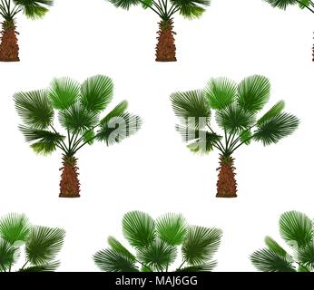 Vector seamless pattern of color palm on white background. Tropical palm background Stock Vector