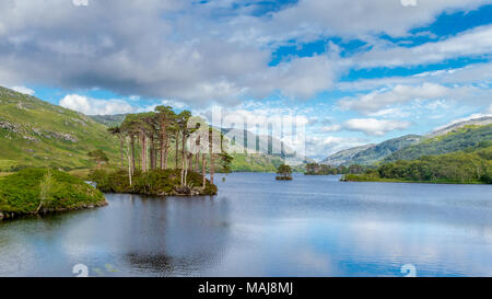 Eilean na Moine at Loch Eilt, Scotland, United Kingdom Stock Photo