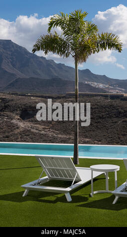 Cropped shot of residential or hospitality outdoor setup with small palm tree by the pool and white chaise lounge positioned on grass Stock Photo