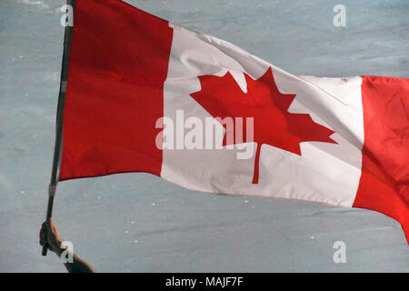 Holding the Canadian flag Stock Photo