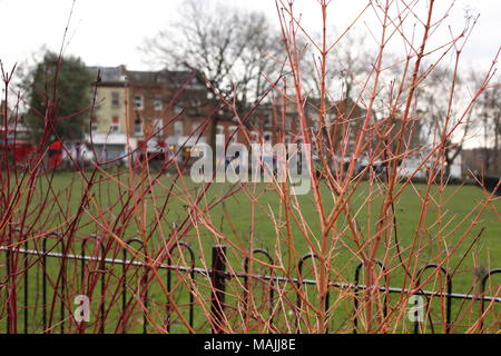 Fortune Green in West Hampstead, Camden, London Stock Photo