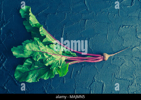 Homegrown organic young beet with green leaves on dark stone table. Fresh harvested beetroot on black concrete background. Top view. Minimal style. To Stock Photo