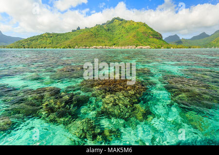 Beautiful sea with mountain and resort background in Moorae Island at Tahiti , PAPEETE, FRENCH POLYNESIA Stock Photo