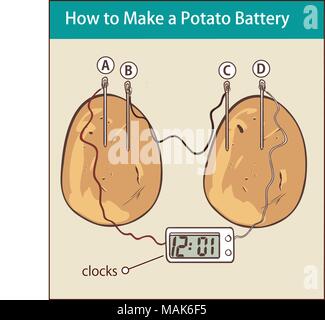 how to make a potato battery vector illustration Stock Vector