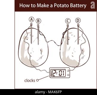 how to make a potato battery vector illustration Stock Vector