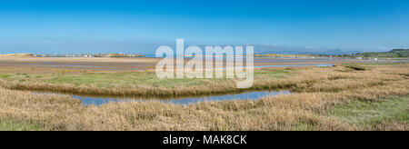 a wide river in sunny weather in early autumn, a beautiful river with ...