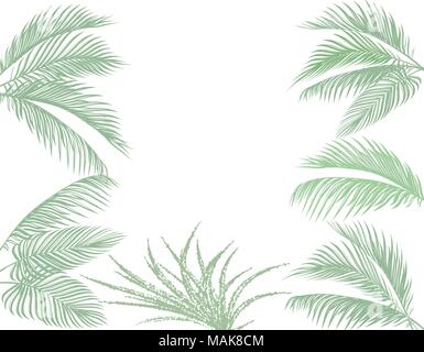 Leaves of tropical palms in pastel tones. Set. Monster, agave. Isolated on white background. illustration Stock Vector