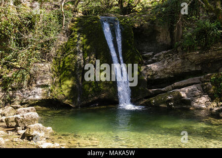 Janet's Foss waterfall falls over a limestone ledge into a pool on Gordale Beck in summer. Malham Yorkshire Dales National Park England UK Stock Photo