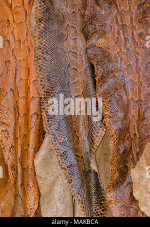 MOROCCO MARRAKECH JEMAA EL FNA MEDINA SOUK PYTHON SNAKE SKINS FOR SALE Stock Photo