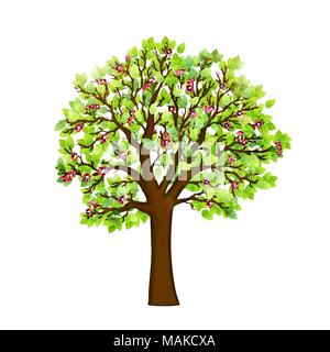 Spring blooming tree on white background vector Stock Vector