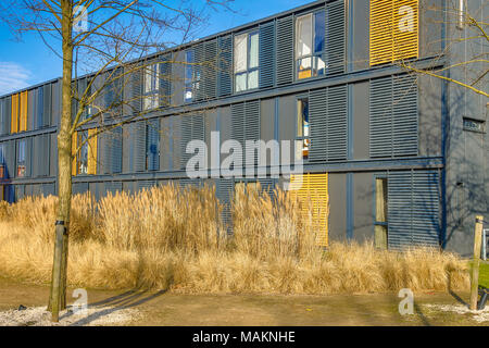 Close up of modern student flats in renovated sea containers with tussock garden Stock Photo