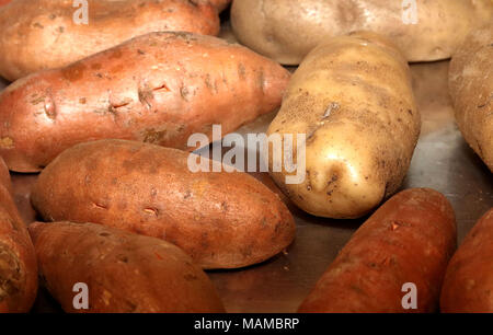 Russet and sweet potato on a metal tray Stock Photo