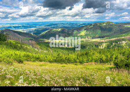 Landscape of mountain valley, panorama of city Zakopane from the hiking trail in Tatra Mountains, summer, Poland Stock Photo