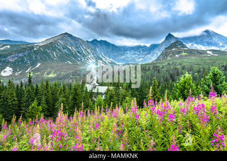 House in mountain forest, green landscape with panorama of