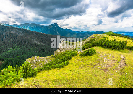 Landscape of mountains in spring, panoramic vista from the top on the edge of precipice, mountain range covered forest Stock Photo