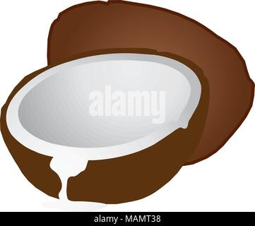 Coconut production copra, coconut oil, and coco chemicals. Stock Vector