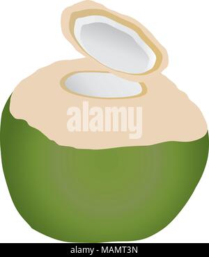 Coconut production copra, coconut oil, and coco chemicals. Stock Vector