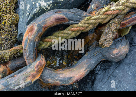 An old rusty corroded shackle with a rope and chain in a nautical or maritime scene on the beach in the Cornish fishing port of Newlyn. Rusty corroded Stock Photo