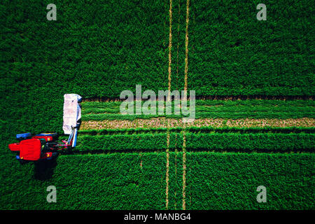 Tractor mowing green field, aerial view. Stock Photo