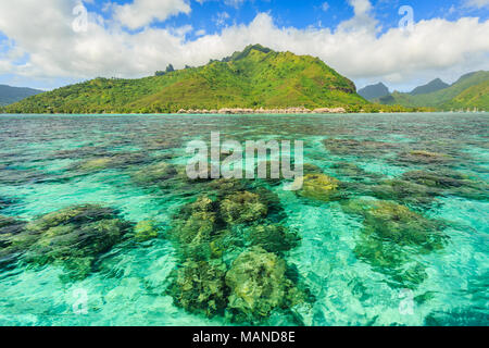 Beautiful sea with mountain and resort background in Moorae Island at Tahiti , PAPEETE, FRENCH POLYNESIA Stock Photo