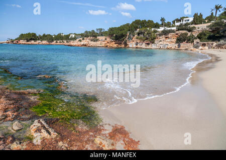 Mediterranean beach, Cala Gracio, town of Sant Antoni, Ibiza island,Spain.