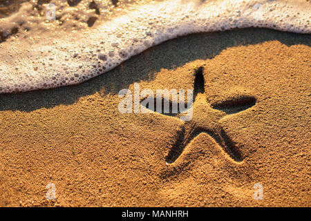 Starfish on the beach at sunrise Stock Photo