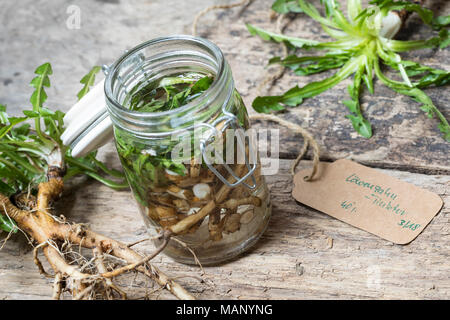 Löwenzahn-Tinktur, Löwenzahntinktur, Wurzeln, Löwenzahn-Wurzel, Löwenzahn-Wurzeln, Löwenzahnwurzel, Löwenzahnwurzeln, Wiesen-Löwenzahn, Radix Taraxaci Stock Photo