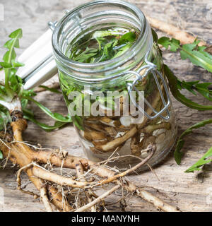 Löwenzahn-Tinktur, Löwenzahntinktur, Wurzeln, Löwenzahn-Wurzel, Löwenzahn-Wurzeln, Löwenzahnwurzel, Löwenzahnwurzeln, Wiesen-Löwenzahn, Radix Taraxaci Stock Photo