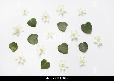 Styled stock photo. Feminine spring desktop composition with white narcissus, daffodil flowers and dry green eucalyptus leaves on white background, lo Stock Photo